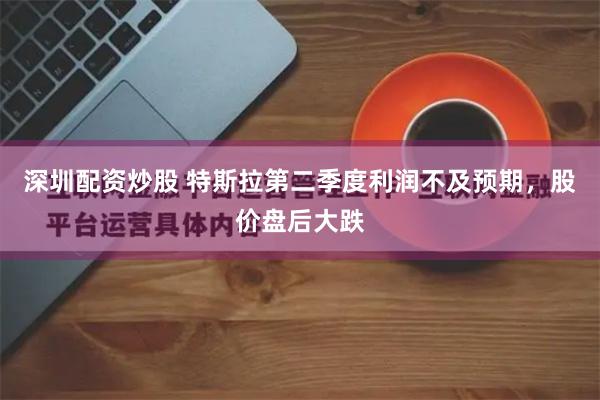 深圳配资炒股 特斯拉第二季度利润不及预期，股价盘后大跌