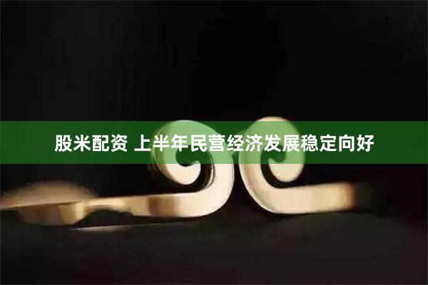 股米配资 上半年民营经济发展稳定向好